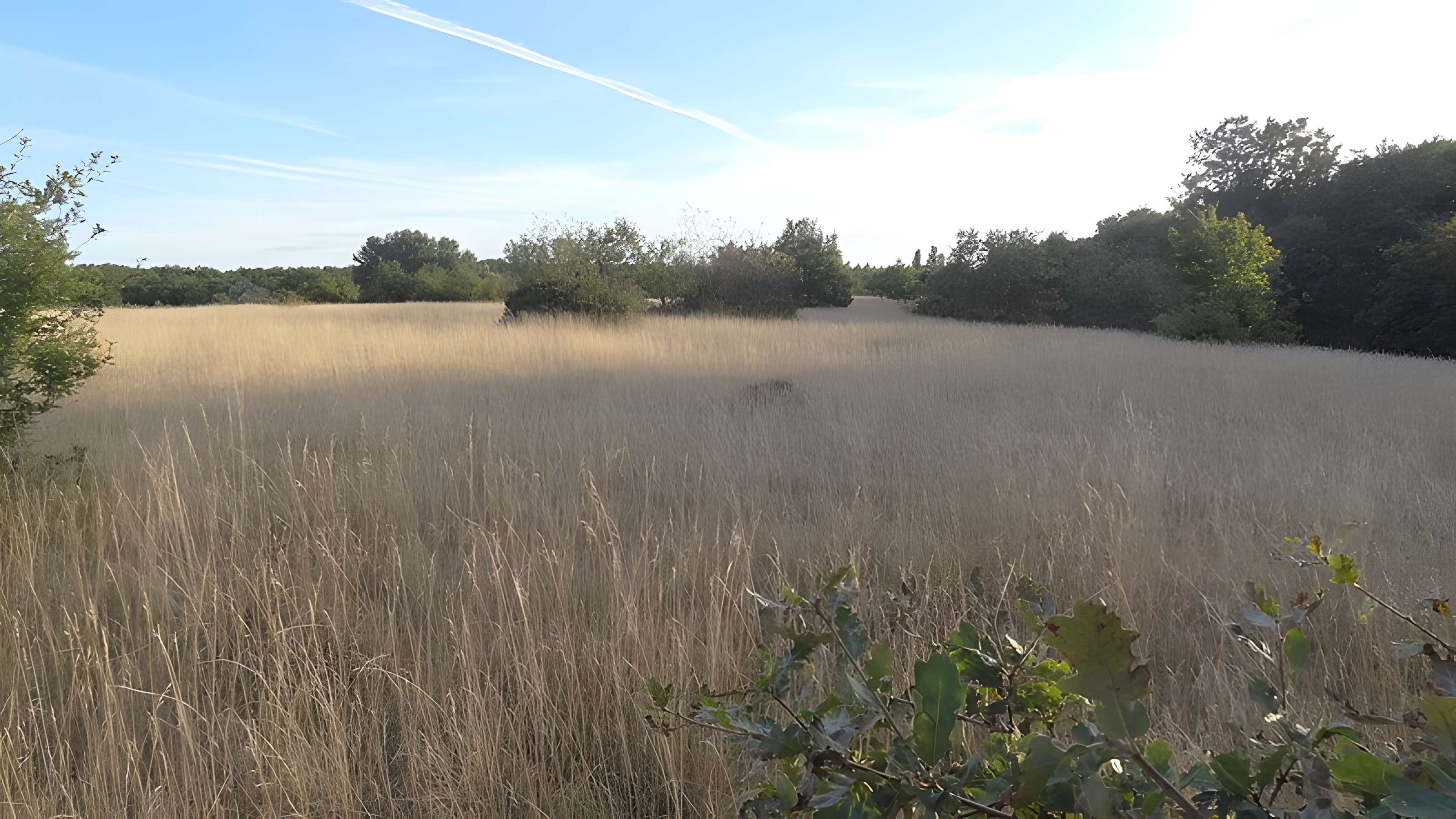 Parcelle contenant des tumuli et deux menhirs à Averdon