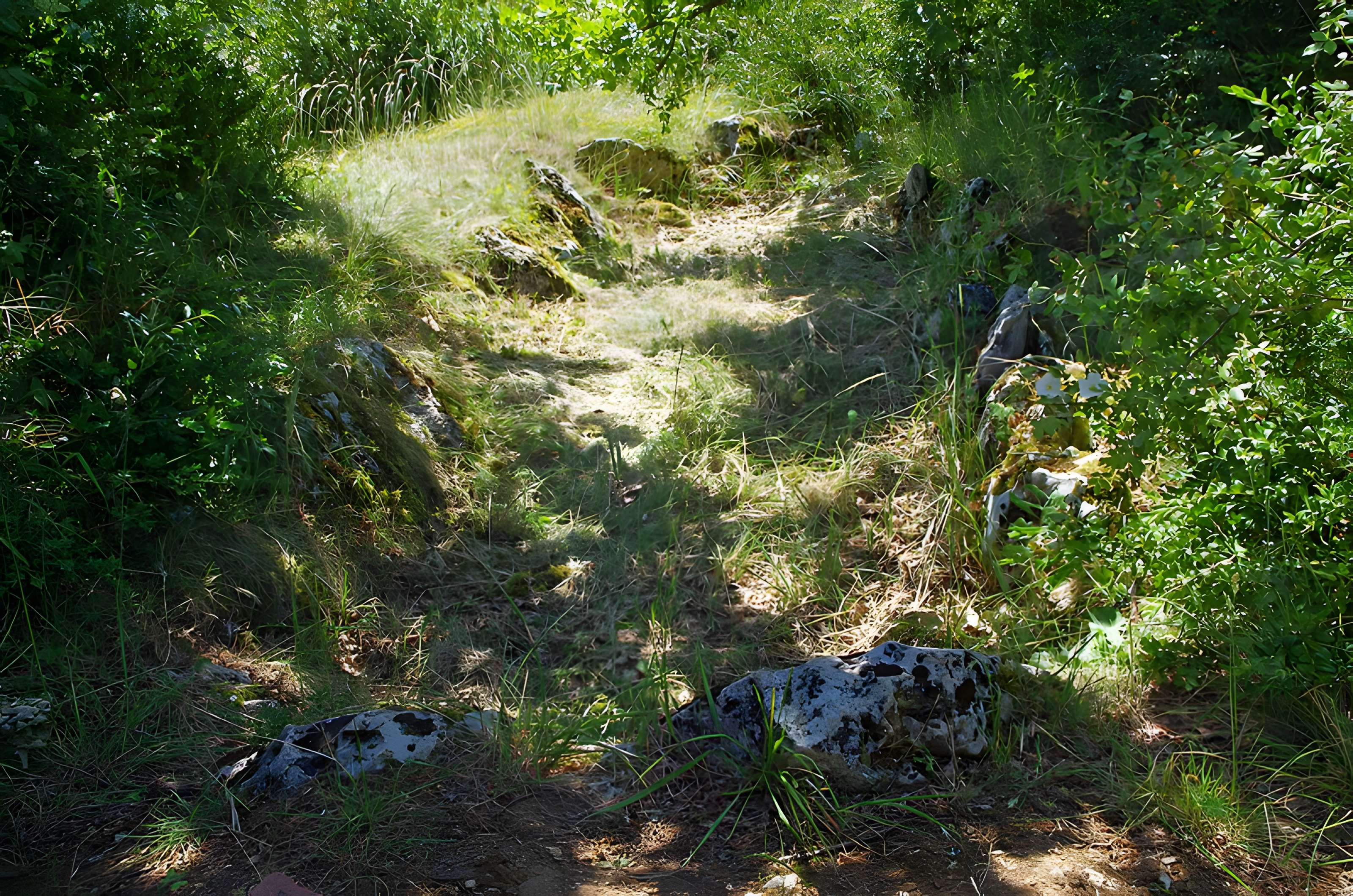 Parcelle contenant des tumuli et deux menhirs à Averdon