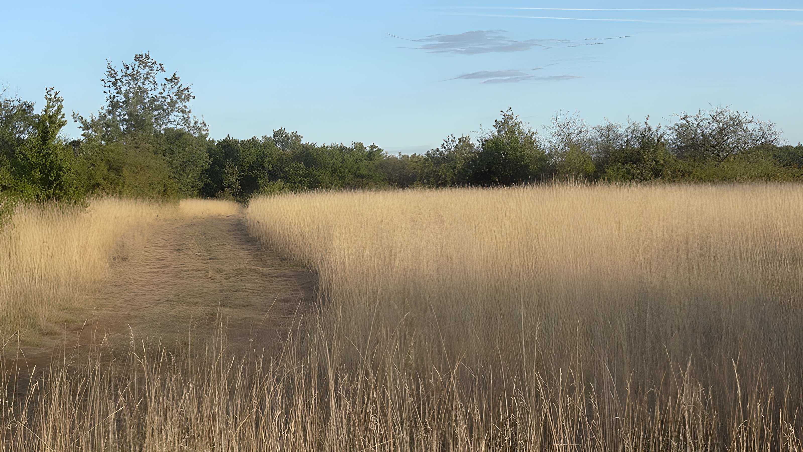 Parcelle contenant des tumuli et deux menhirs à Averdon