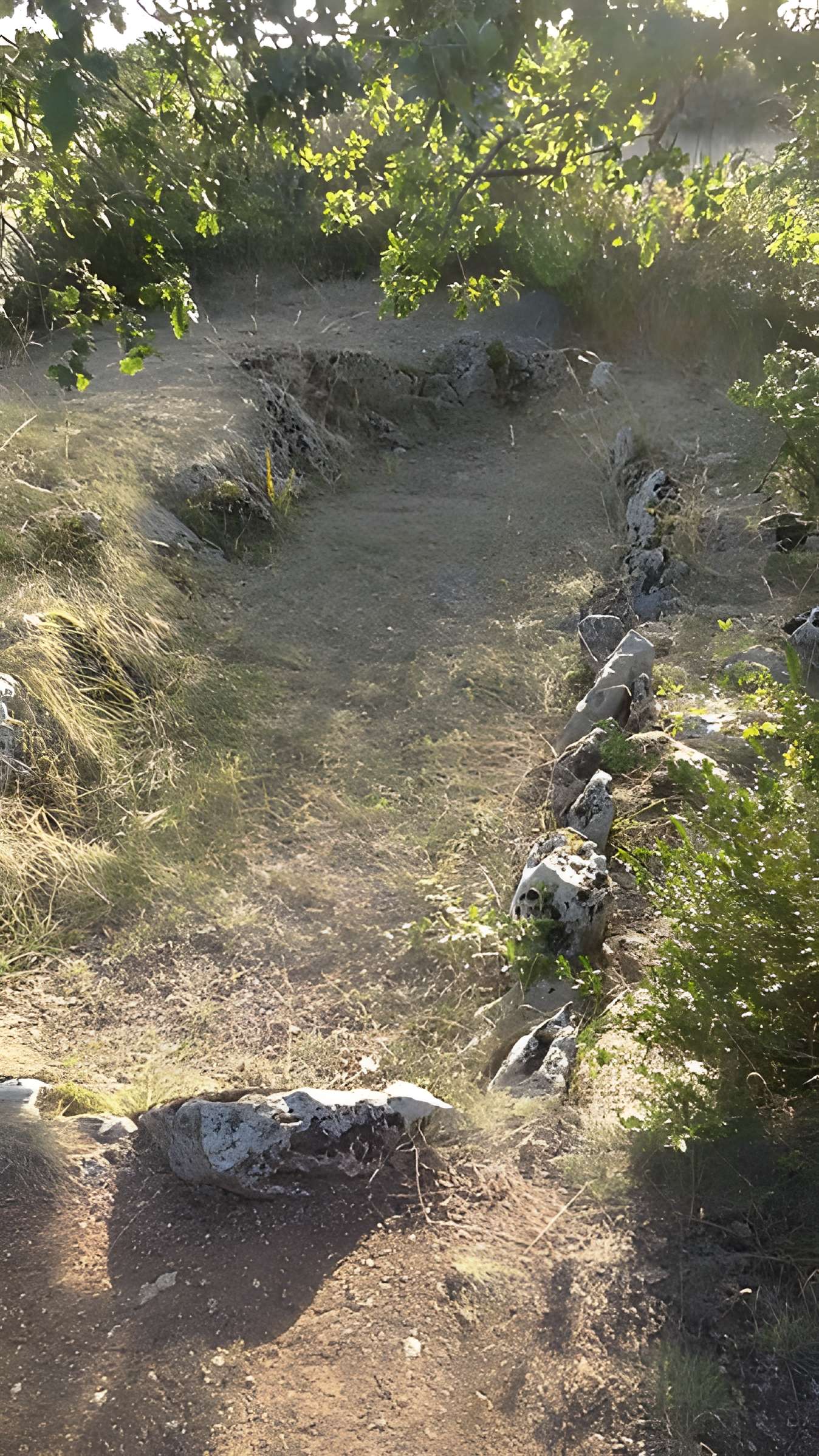 Parcelle contenant des tumuli et deux menhirs à Averdon
