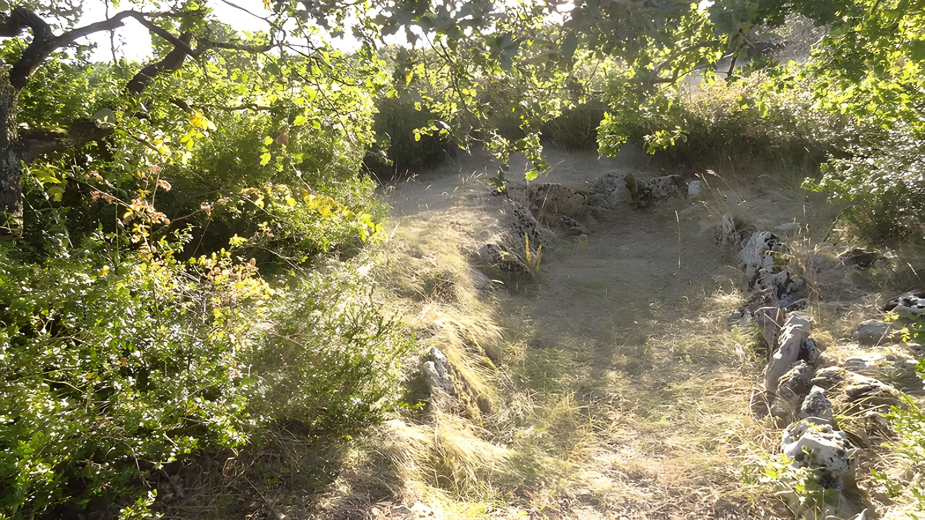 Parcelle contenant des tumuli et deux menhirs à Averdon
