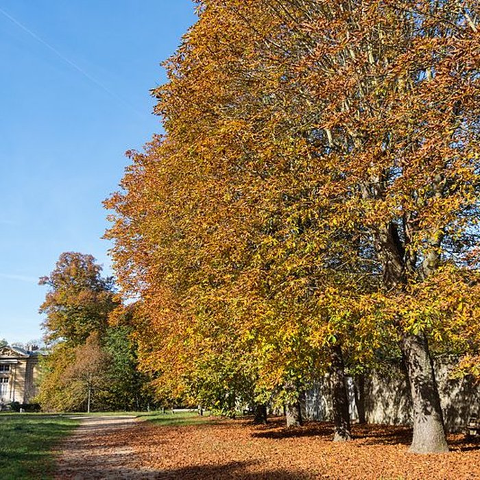Photo de Pavillon du Butard de La Celle-Saint-Cloud