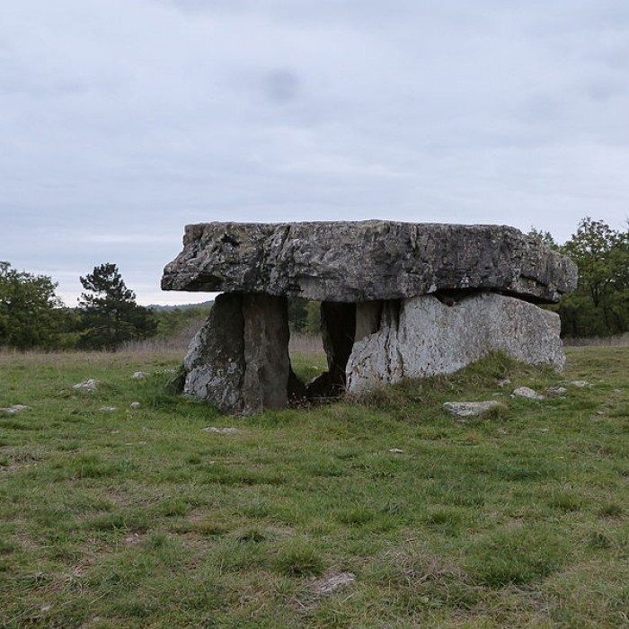 Photo de Dolmen dit Peyrelevade, autrefois sur parcelle B 4 de la commune de Roussayrolles