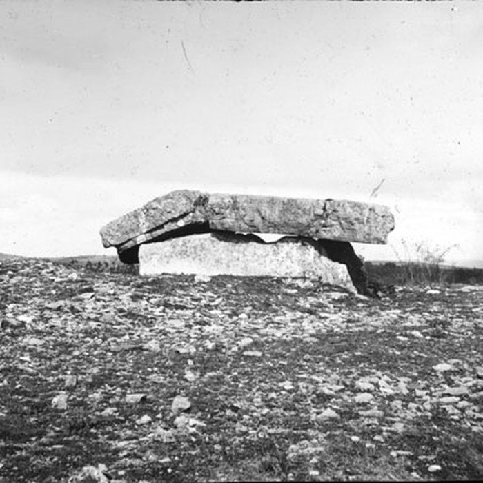 Photo de Dolmen dit Peyrelevade, autrefois sur parcelle B 4 de la commune de Roussayrolles