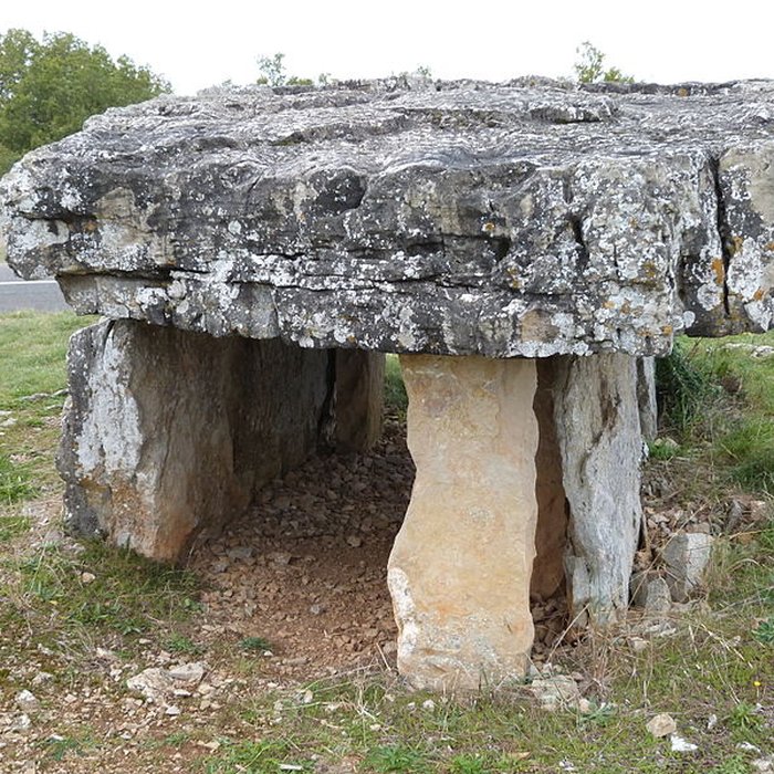 Photo de Dolmen dit Peyrelevade, autrefois sur parcelle B 4 de la commune de Roussayrolles