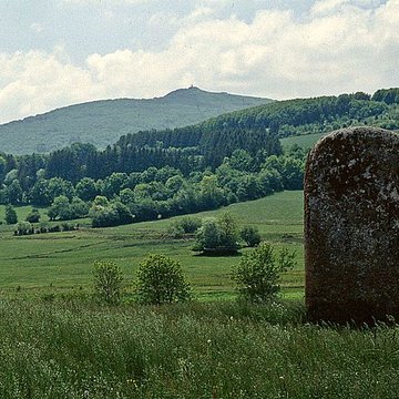 Peyro-Lebado de Lacaune