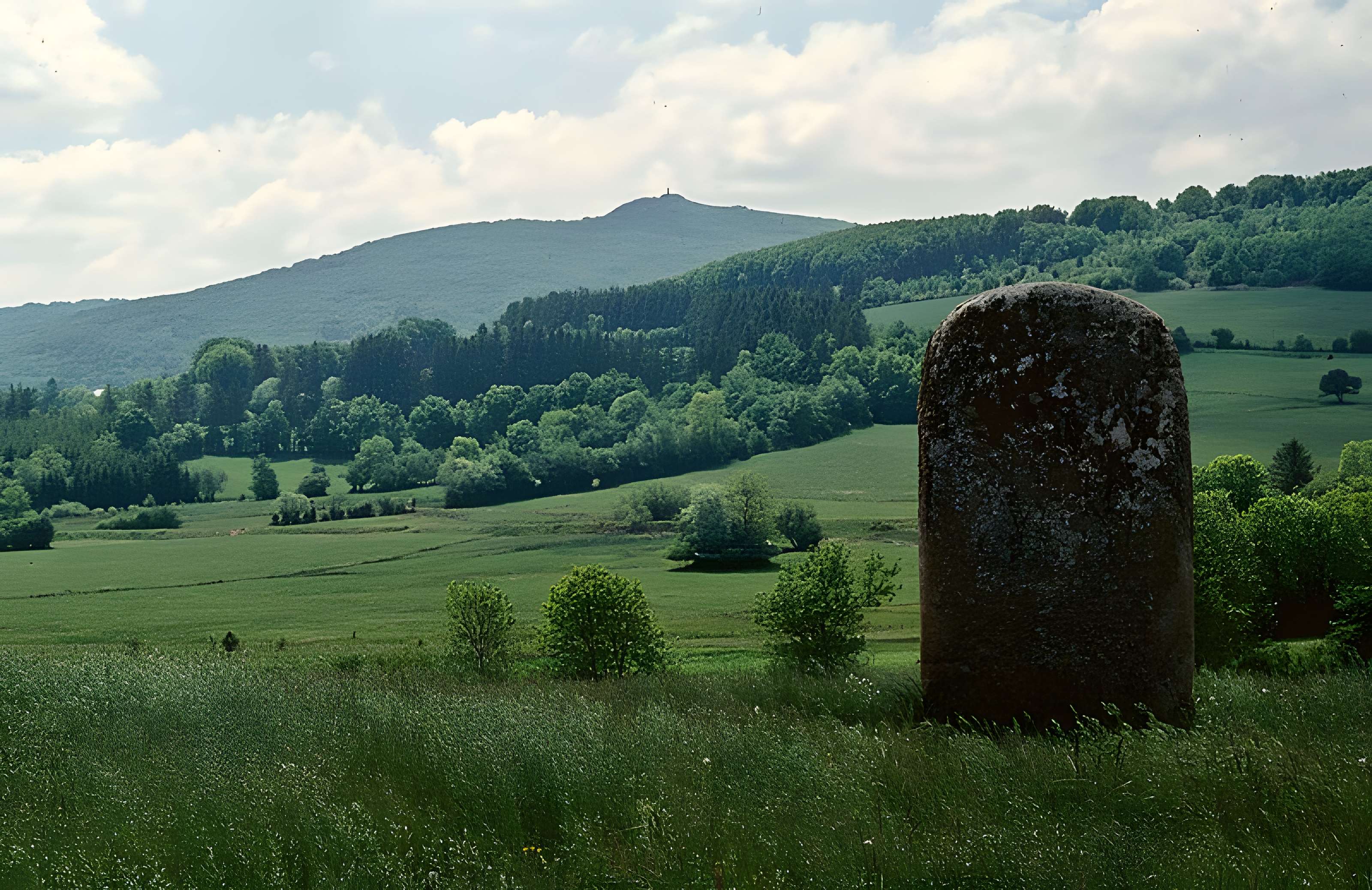 Peyro-Lebado de Lacaune