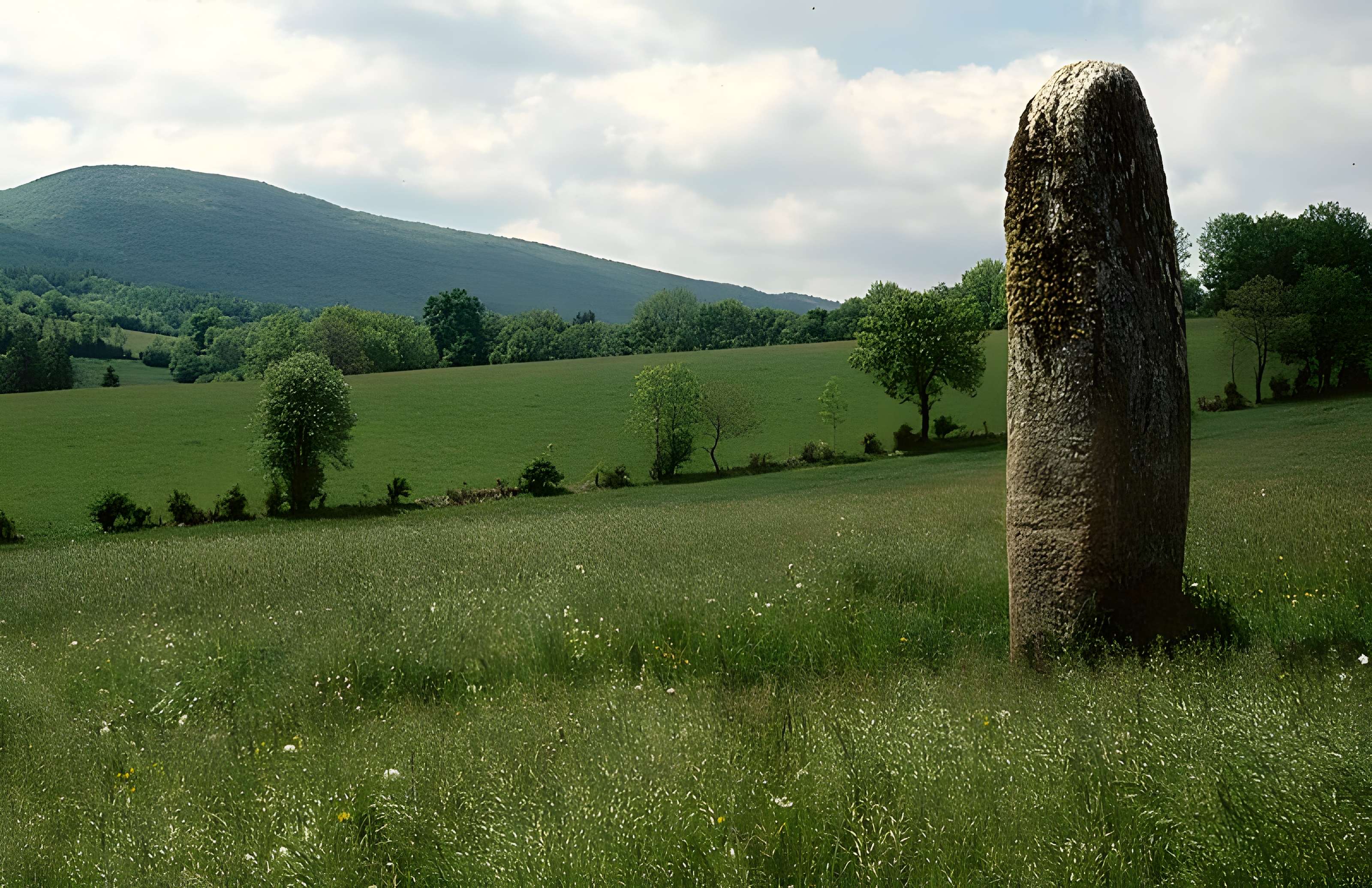 Peyro-Lebado de Lacaune