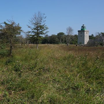 Phare dAilly