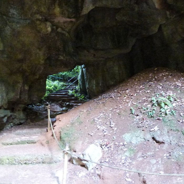 Photo de Phosphatière du Cloup dAural à Bach