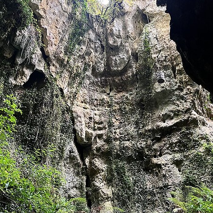 Photo de Phosphatière du Cloup dAural à Bach