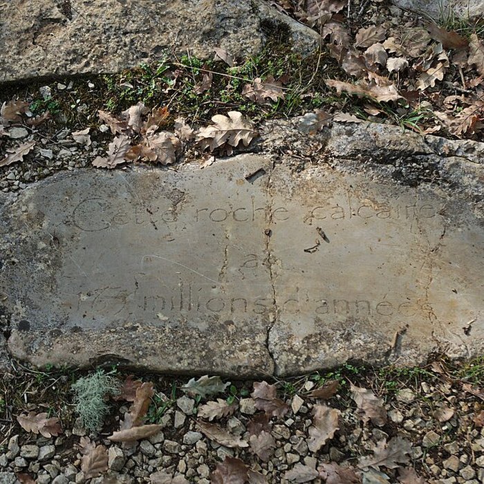 Photo de Phosphatière du Cloup dAural à Bach