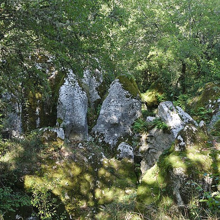 Photo de Phosphatière du Cloup dAural à Bach