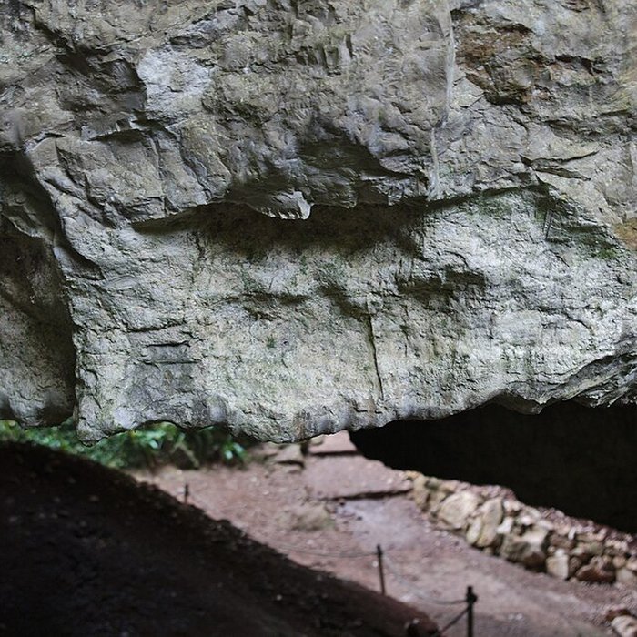 Photo de Phosphatière du Cloup dAural à Bach