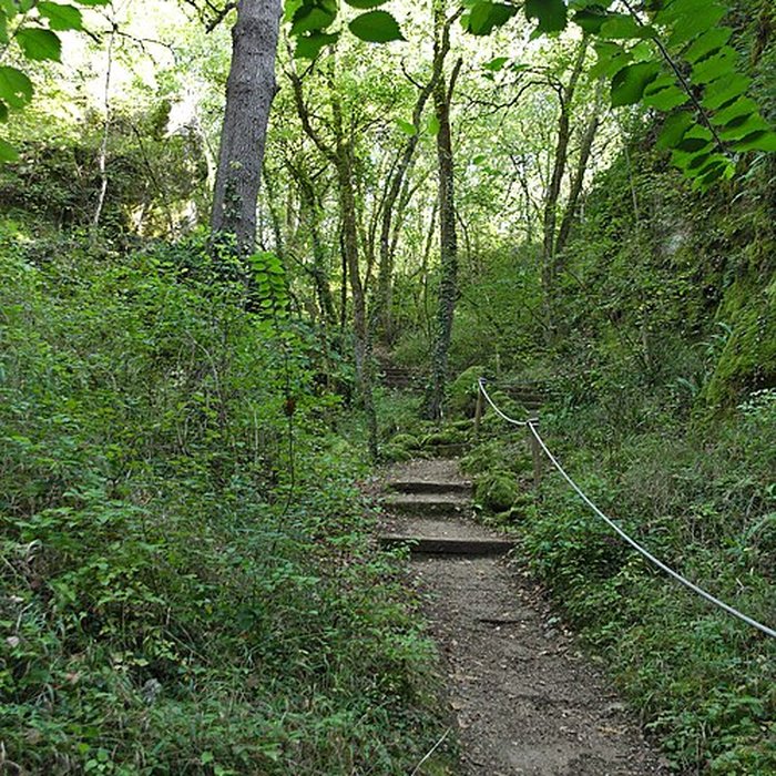 Photo de Phosphatière du Cloup dAural à Bach