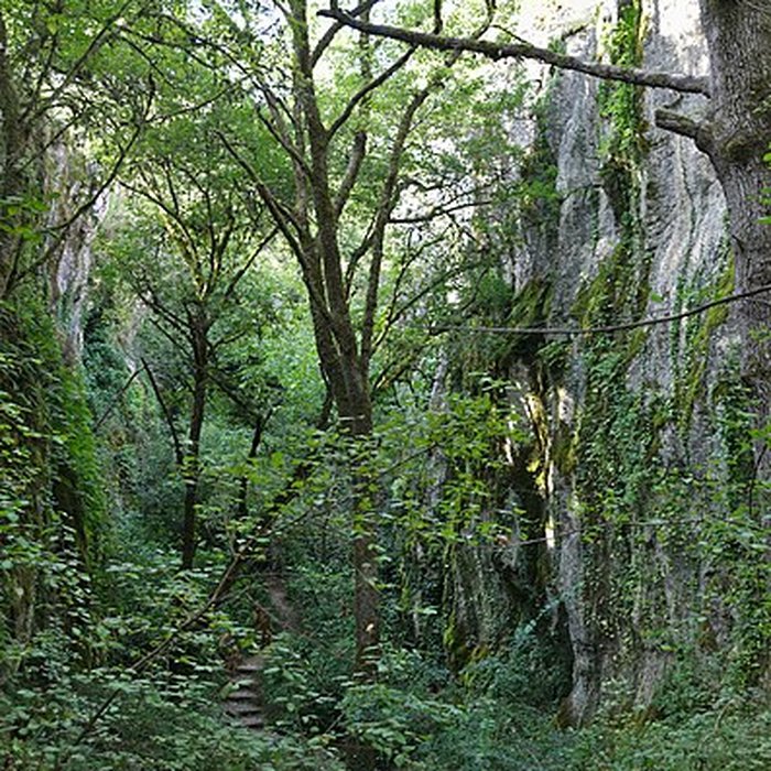 Photo de Phosphatière du Cloup dAural à Bach