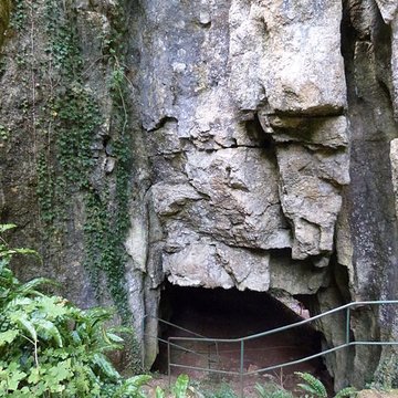 Phosphatière du Cloup dAural à Bach