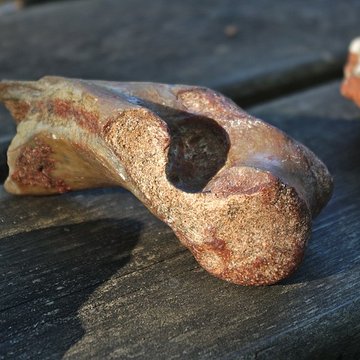 Phosphatière du Cloup dAural à Bach