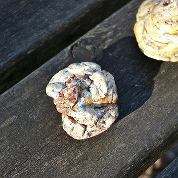 Phosphatière du Cloup dAural à Bach