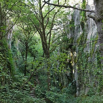 Phosphatière du Cloup dAural à Bach