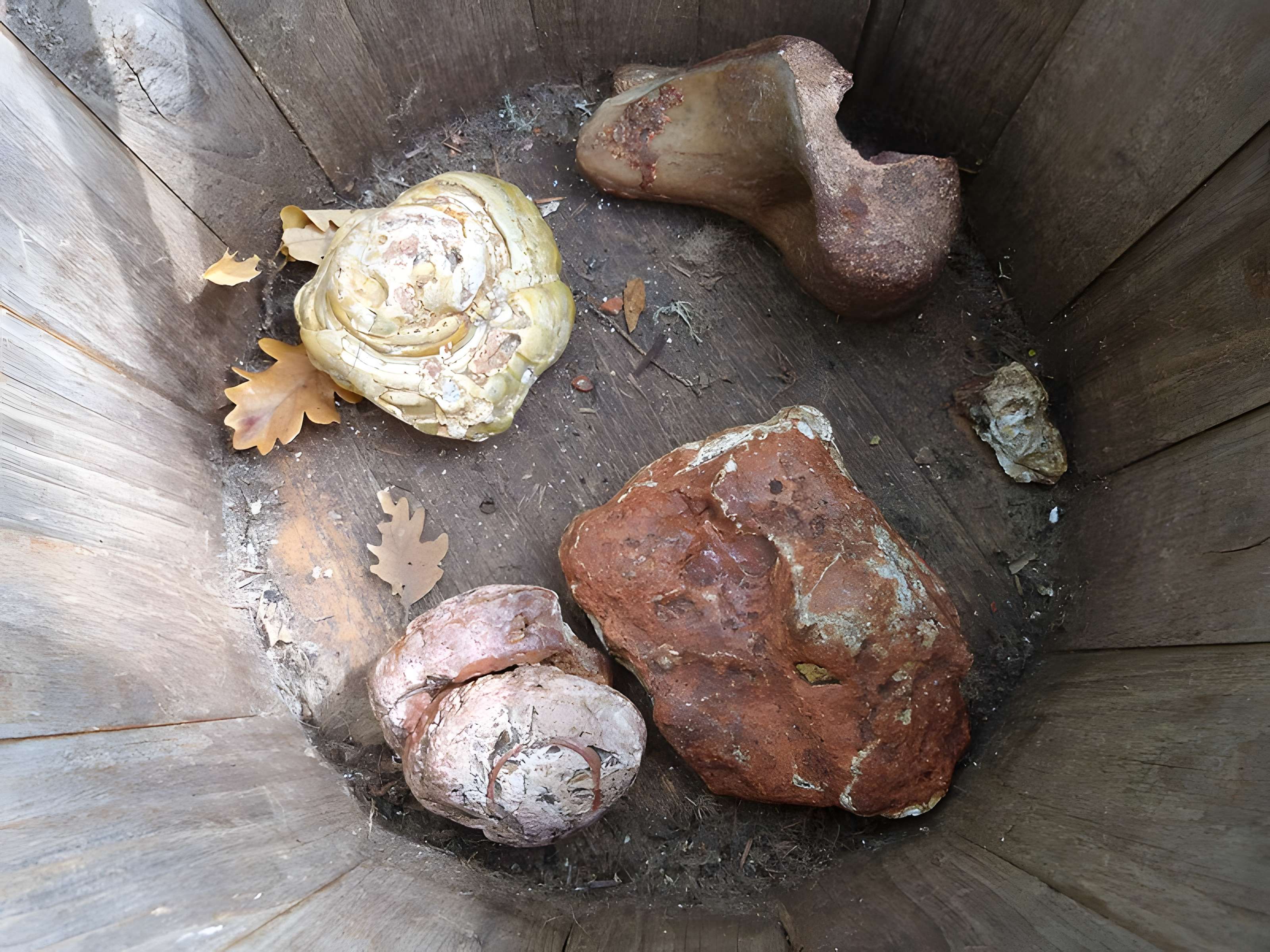 Phosphatière du Cloup d'Aural à Bach