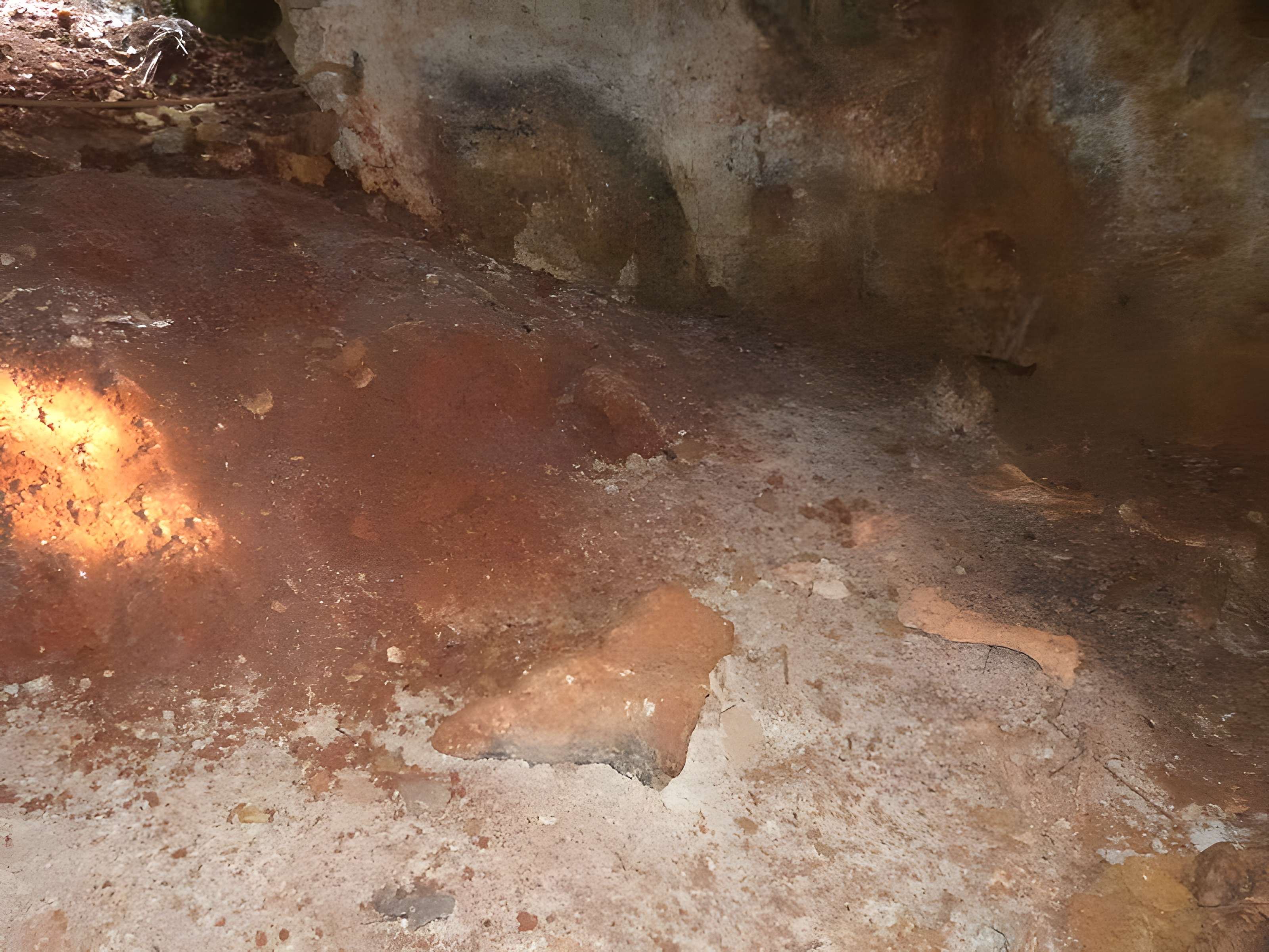 Phosphatière du Cloup d'Aural à Bach