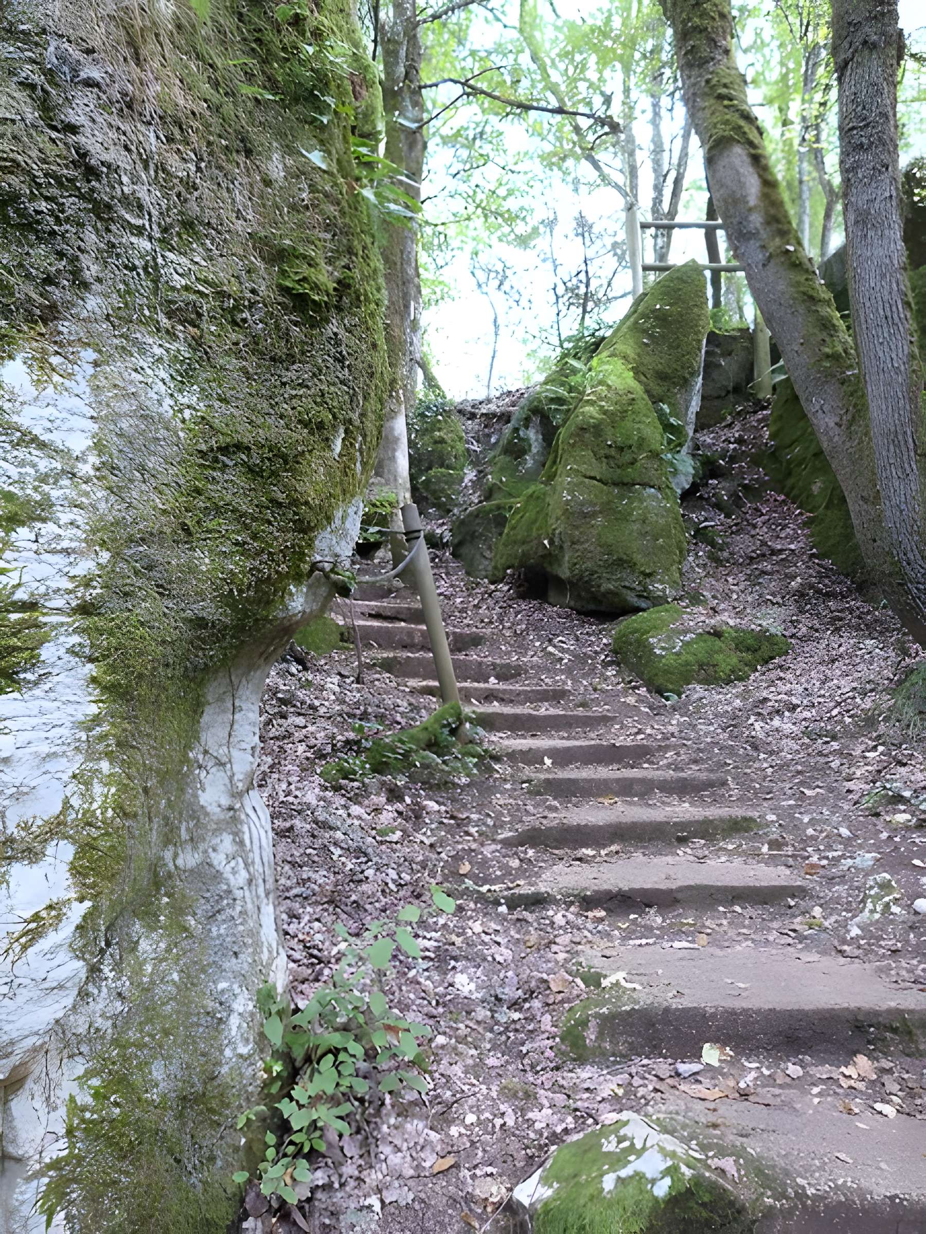 Phosphatière du Cloup d'Aural à Bach