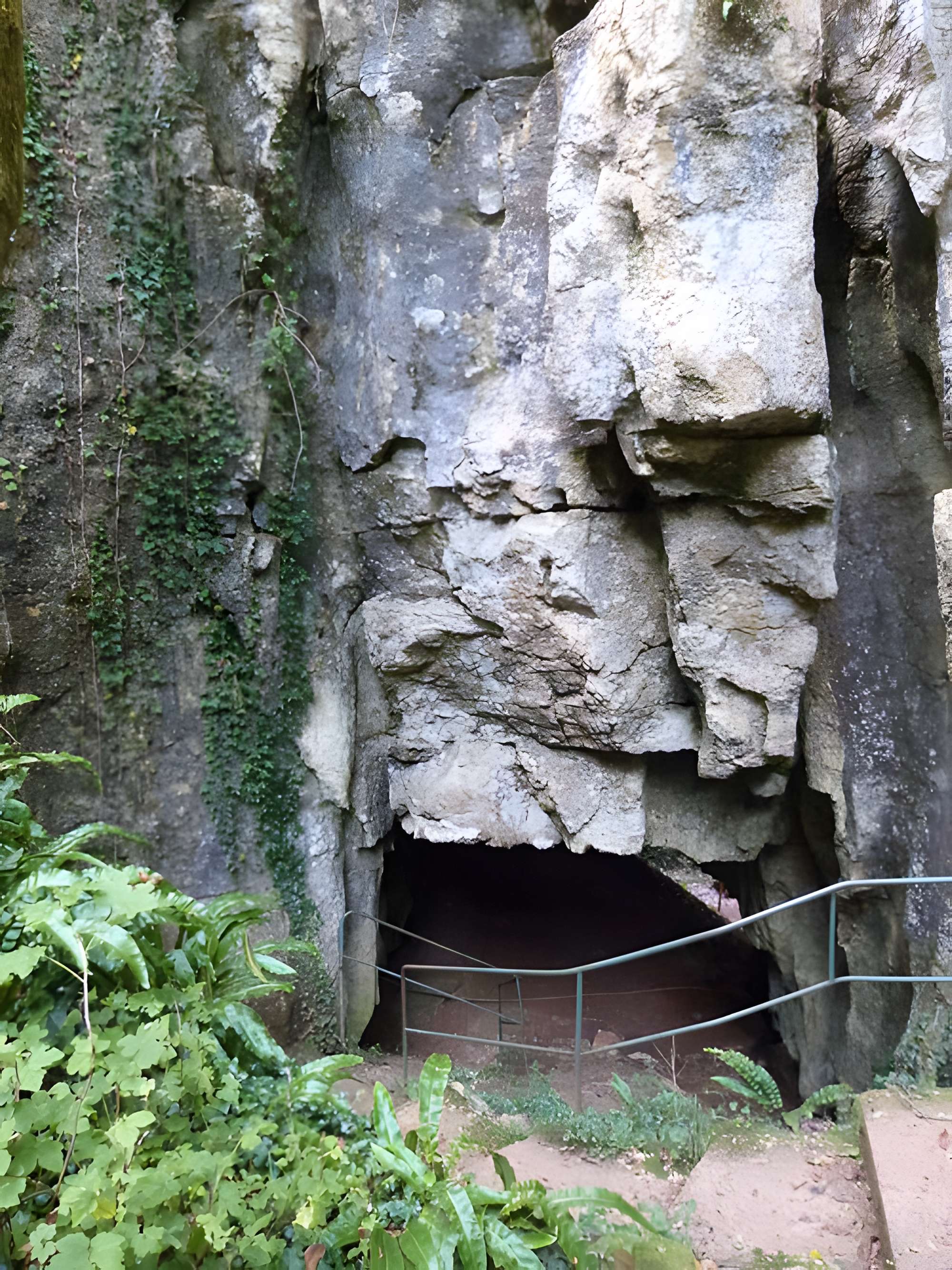 Phosphatière du Cloup d'Aural à Bach