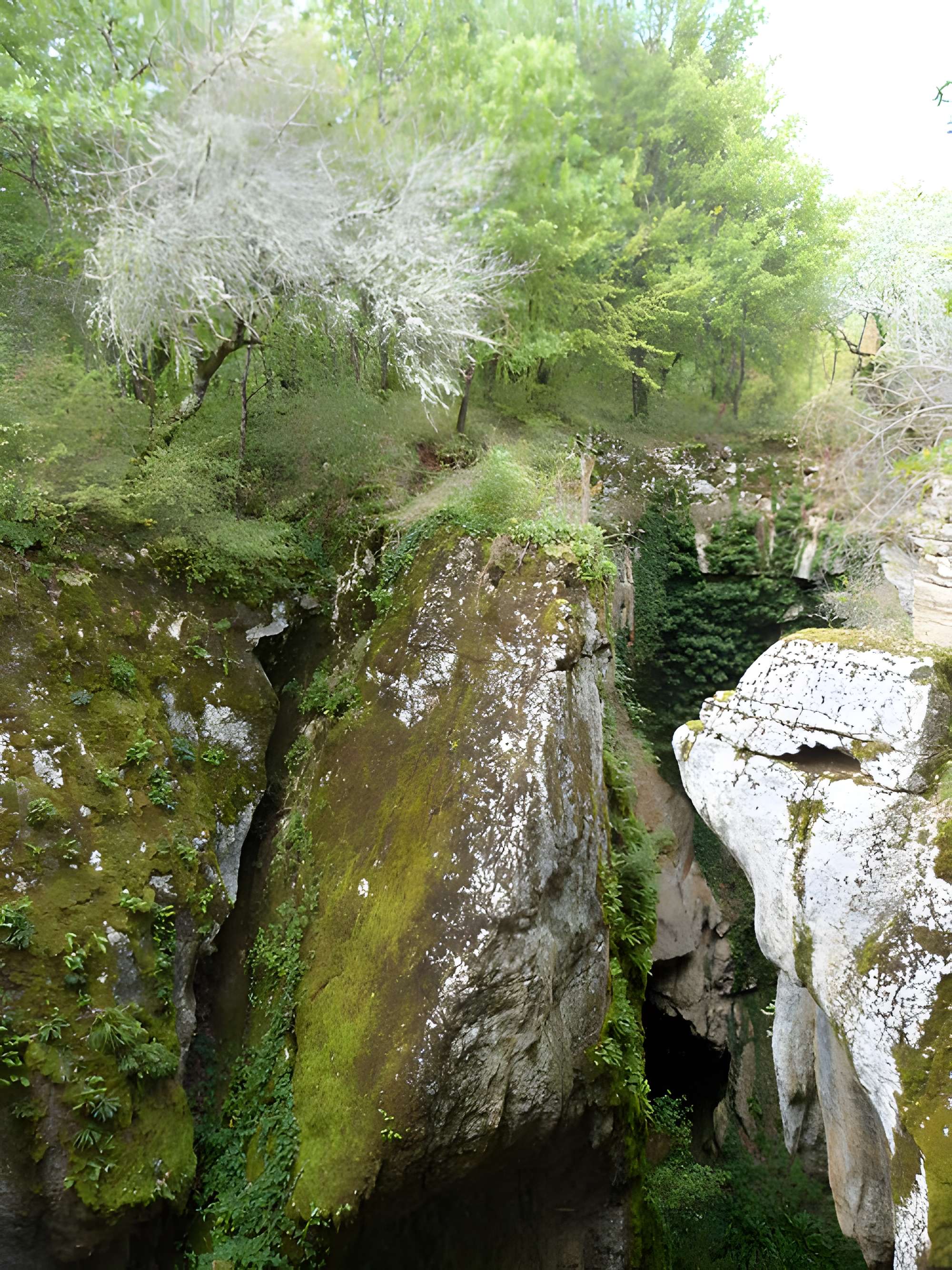 Phosphatière du Cloup d'Aural à Bach