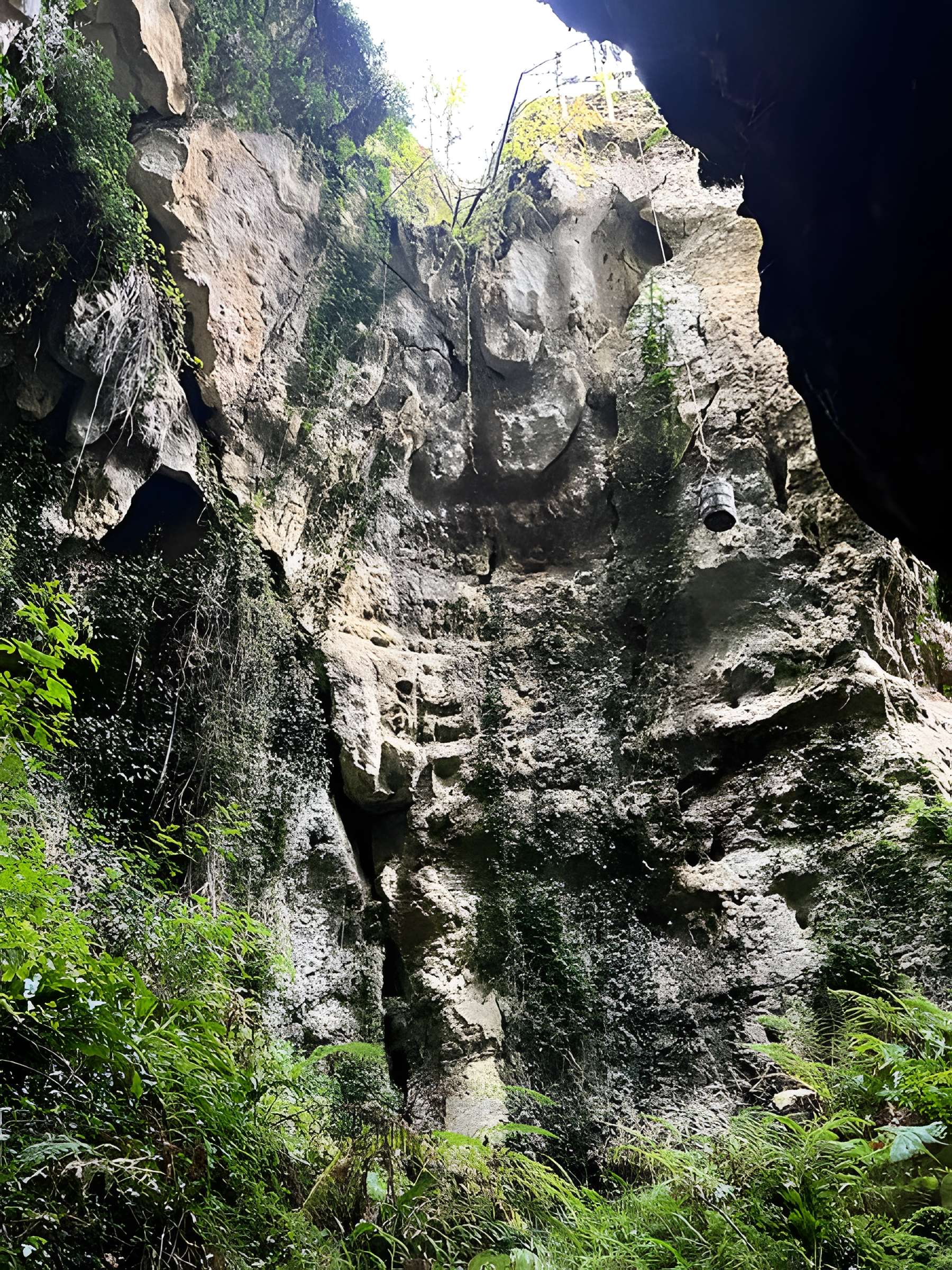 Phosphatière du Cloup d'Aural à Bach