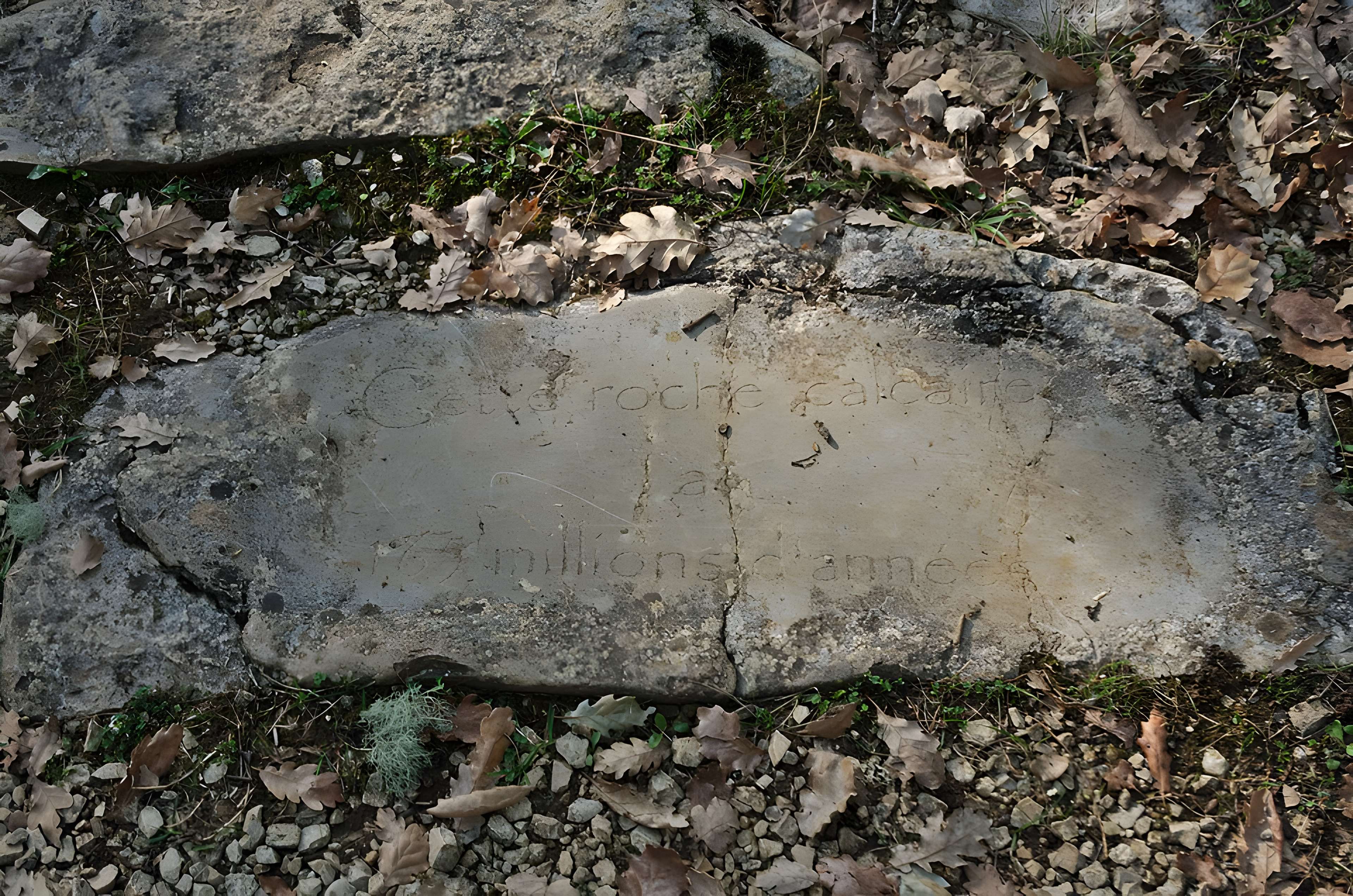 Phosphatière du Cloup d'Aural à Bach