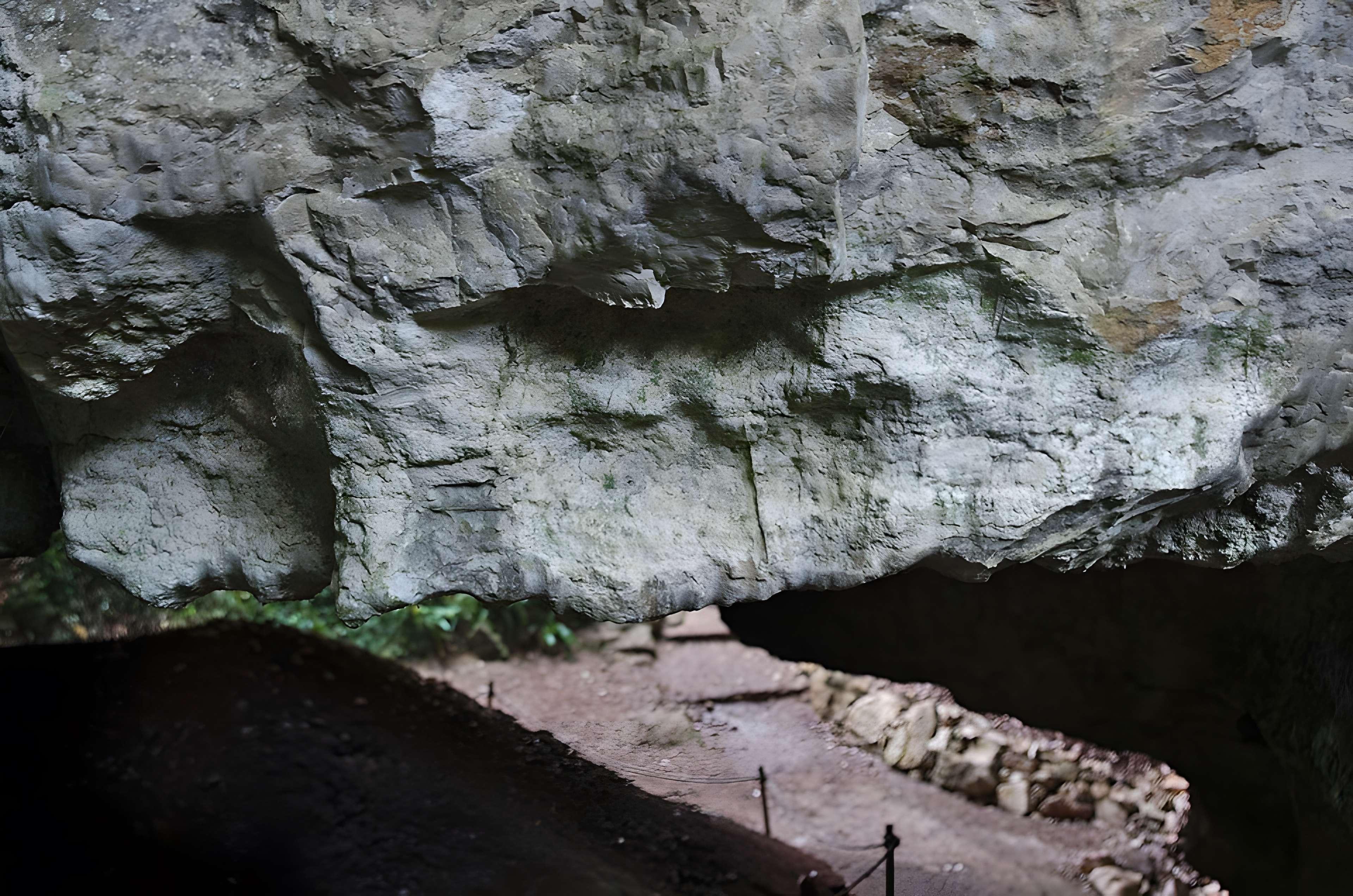 Phosphatière du Cloup d'Aural à Bach