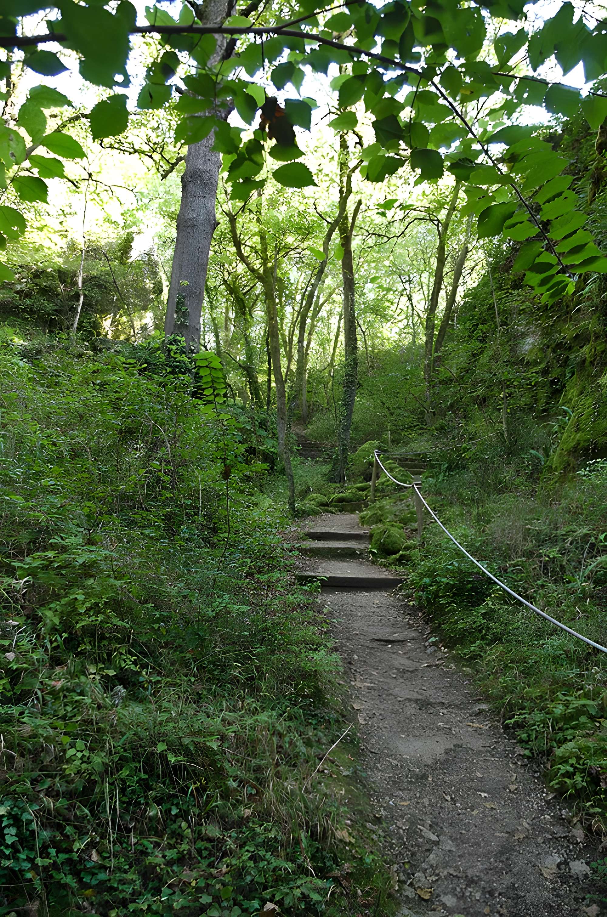 Phosphatière du Cloup d'Aural à Bach