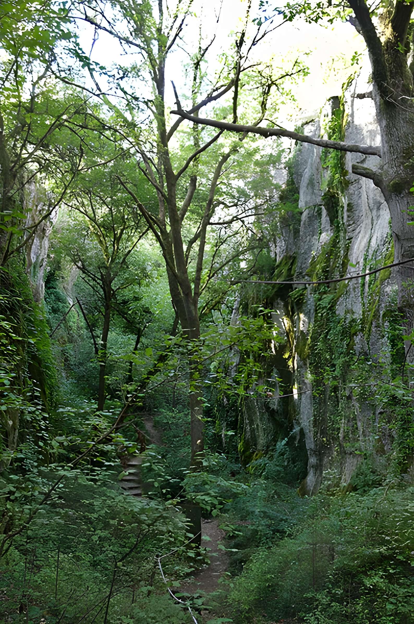 Phosphatière du Cloup d'Aural à Bach