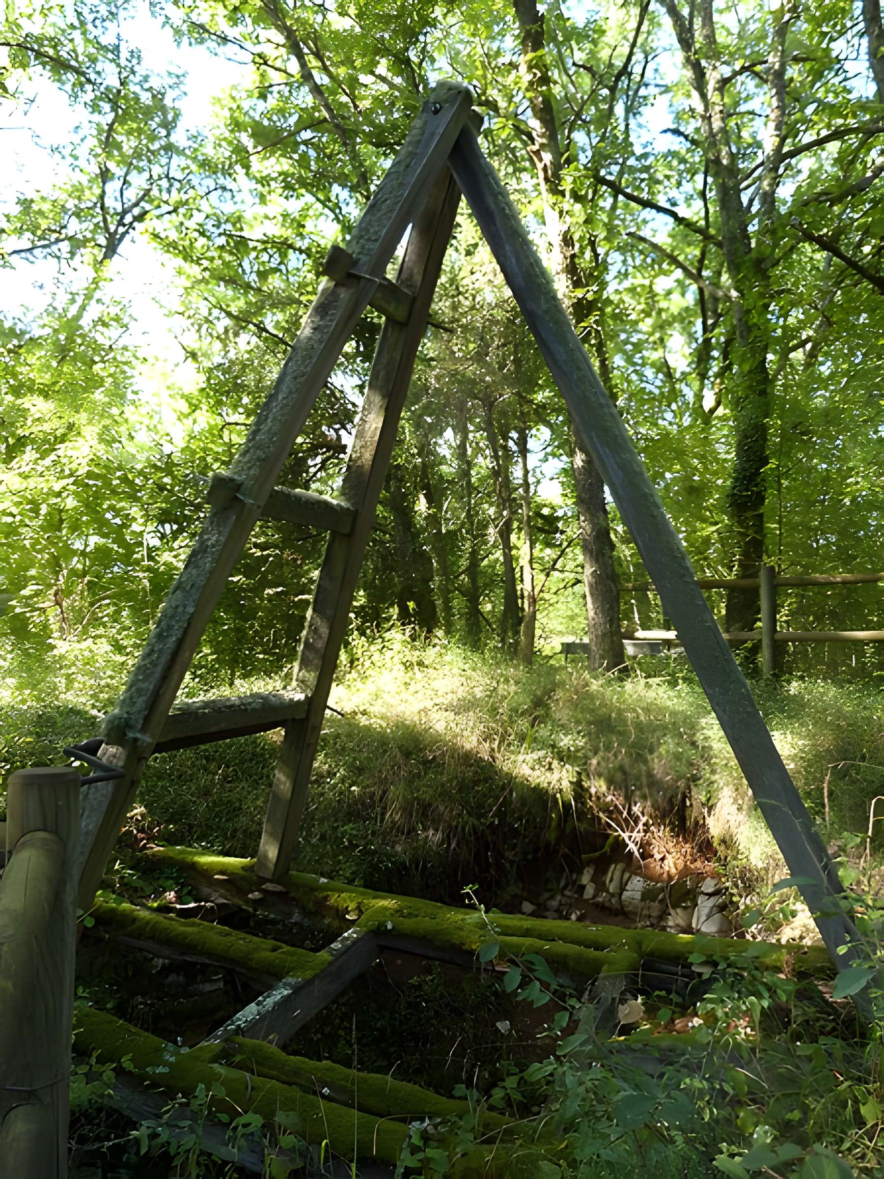 Phosphatière du Cloup d'Aural à Bach