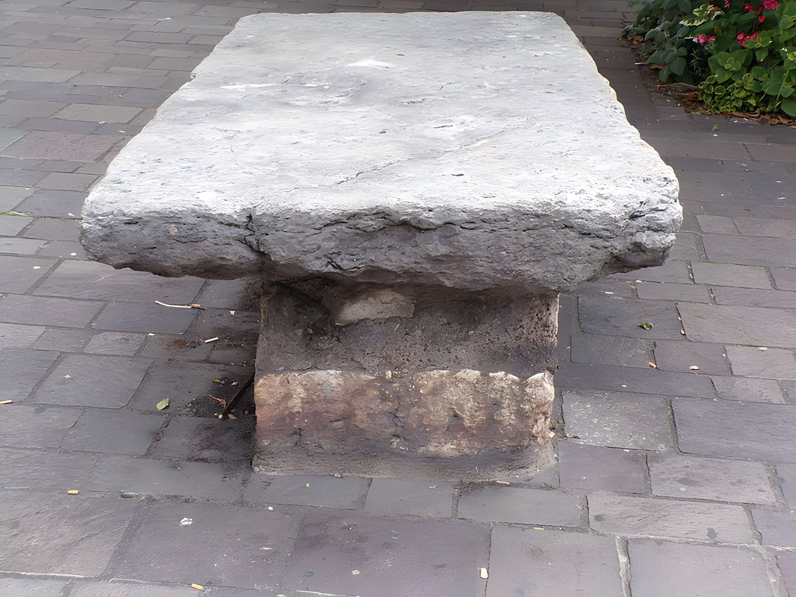 Pierre à poissons de Montbéliard