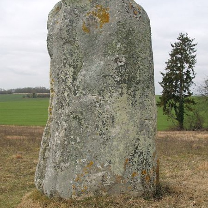 Photo de Menhir dit la Pierre-aux-Couteaux