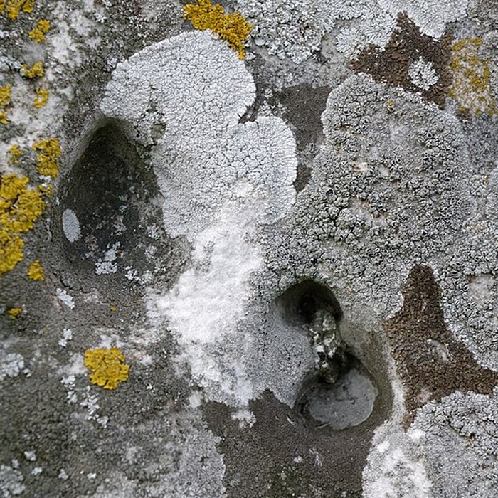 Photo de Menhir dit la Pierre-aux-Couteaux