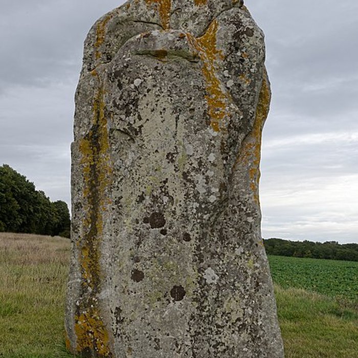 Photo de Menhir dit la Pierre-aux-Couteaux