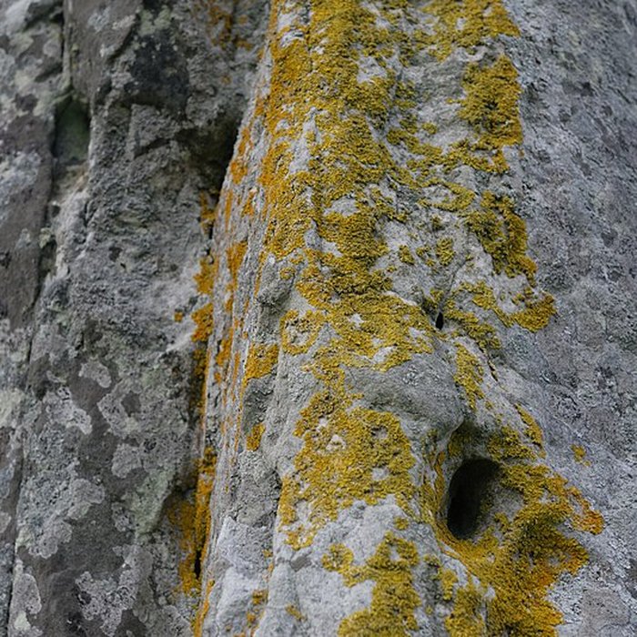 Photo de Menhir dit la Pierre-aux-Couteaux