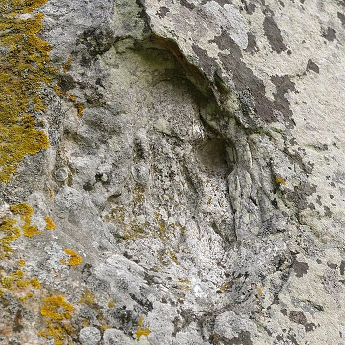 Photo de Menhir dit la Pierre-aux-Couteaux