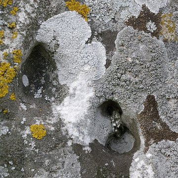 Menhir dit la Pierre-aux-Couteaux