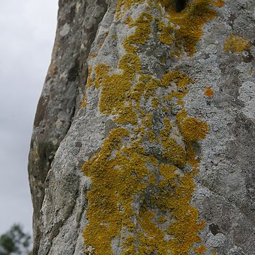 Menhir dit la Pierre-aux-Couteaux