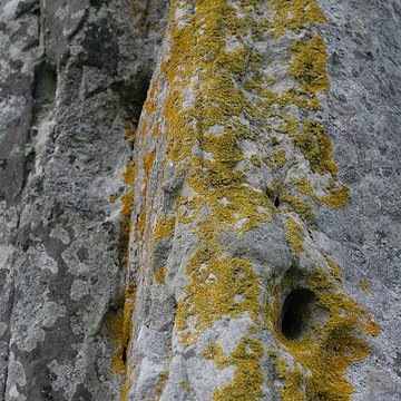 Menhir dit la Pierre-aux-Couteaux