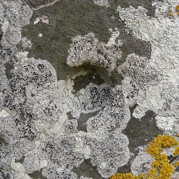 Menhir dit la Pierre-aux-Couteaux