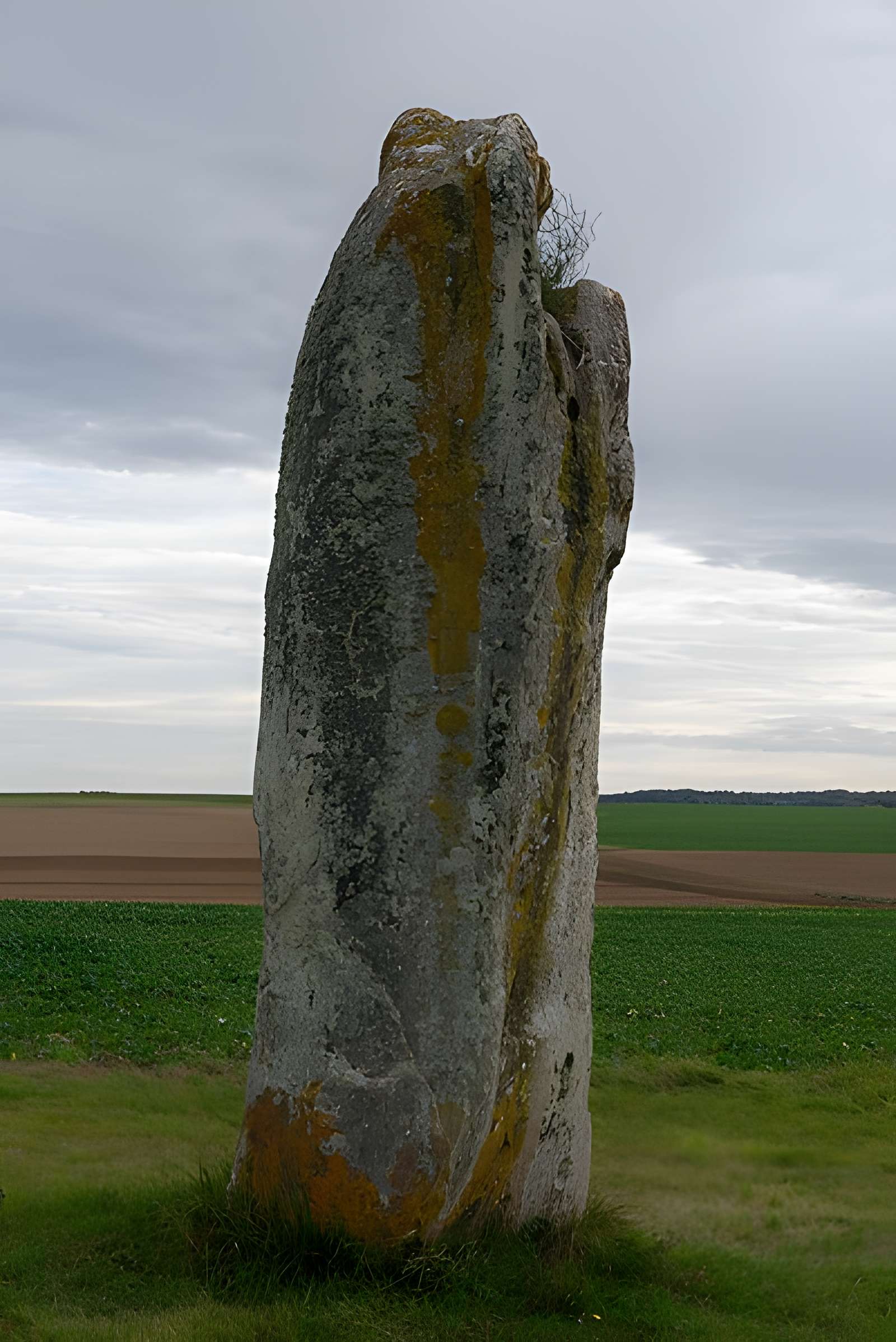 Menhir dit la Pierre-aux-Couteaux