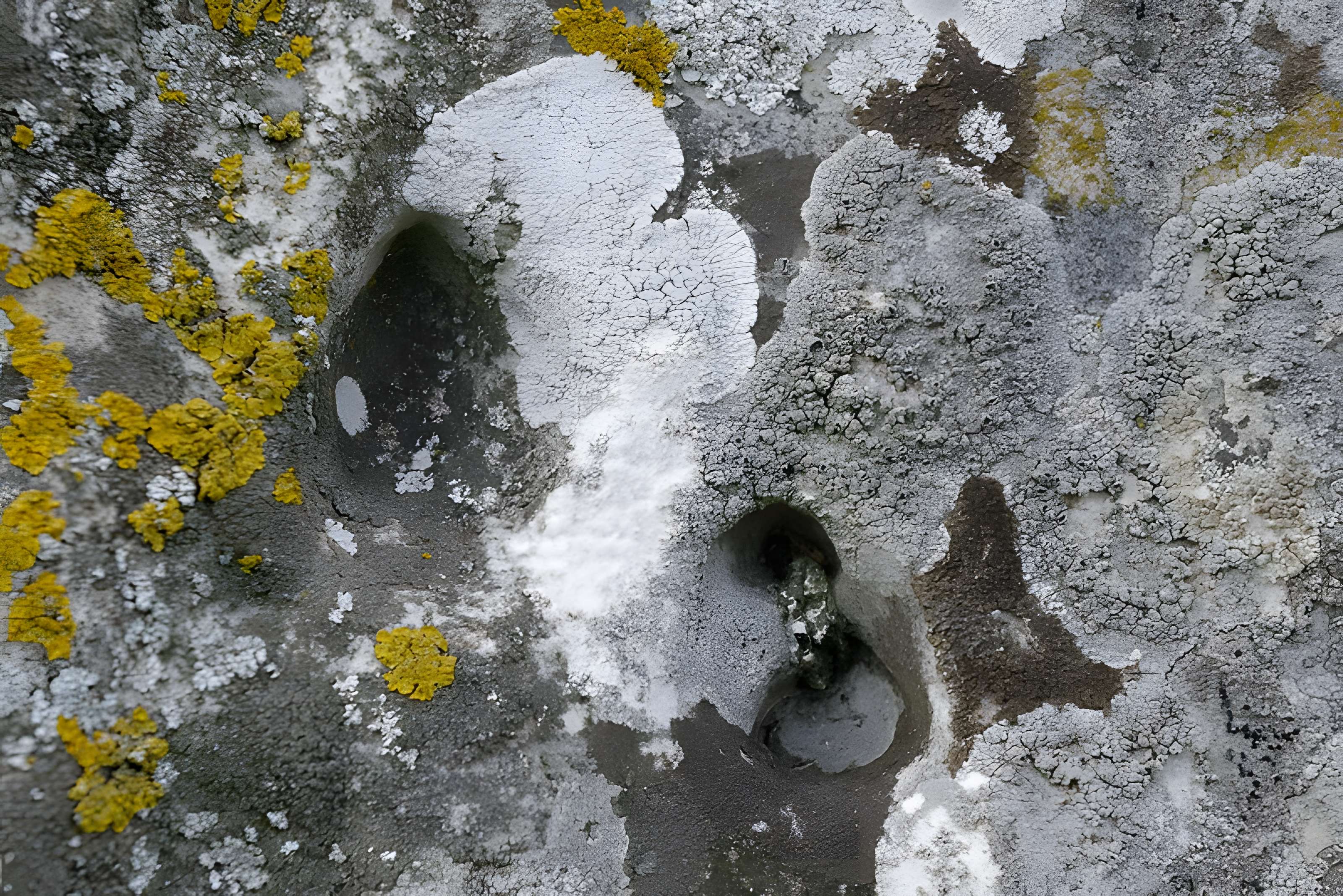 Menhir dit la Pierre-aux-Couteaux