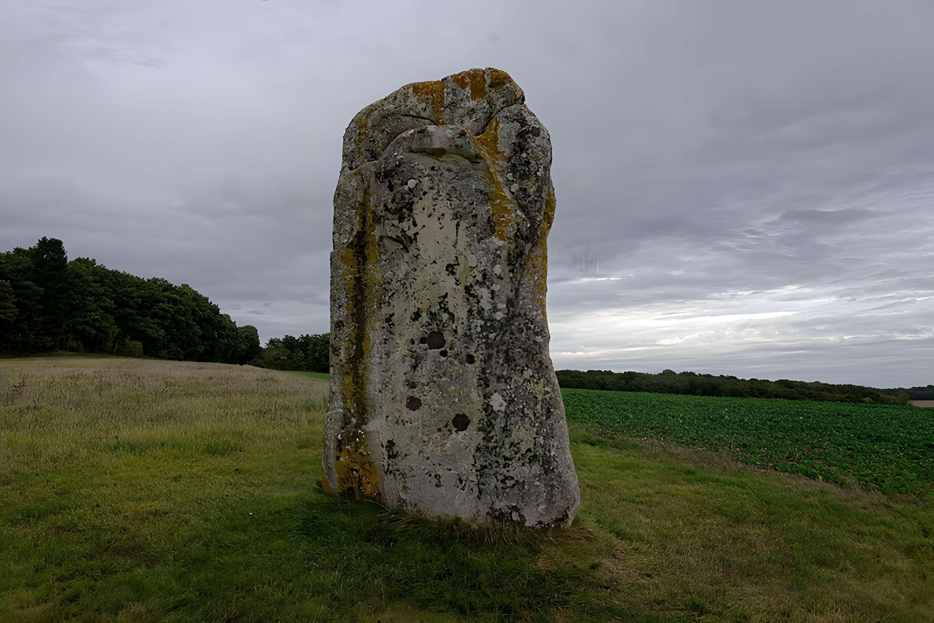 Menhir dit la Pierre-aux-Couteaux