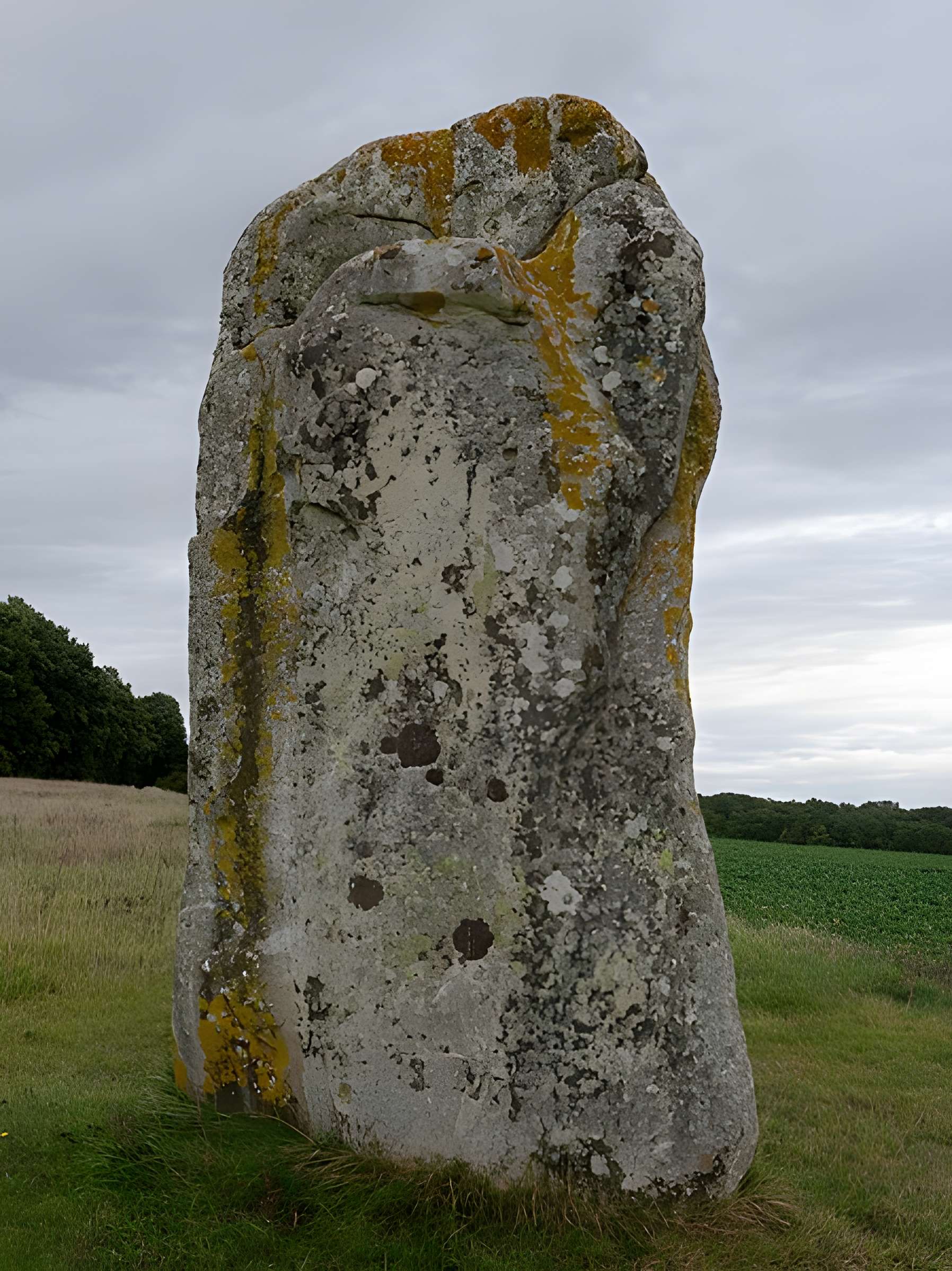 Menhir dit la Pierre-aux-Couteaux