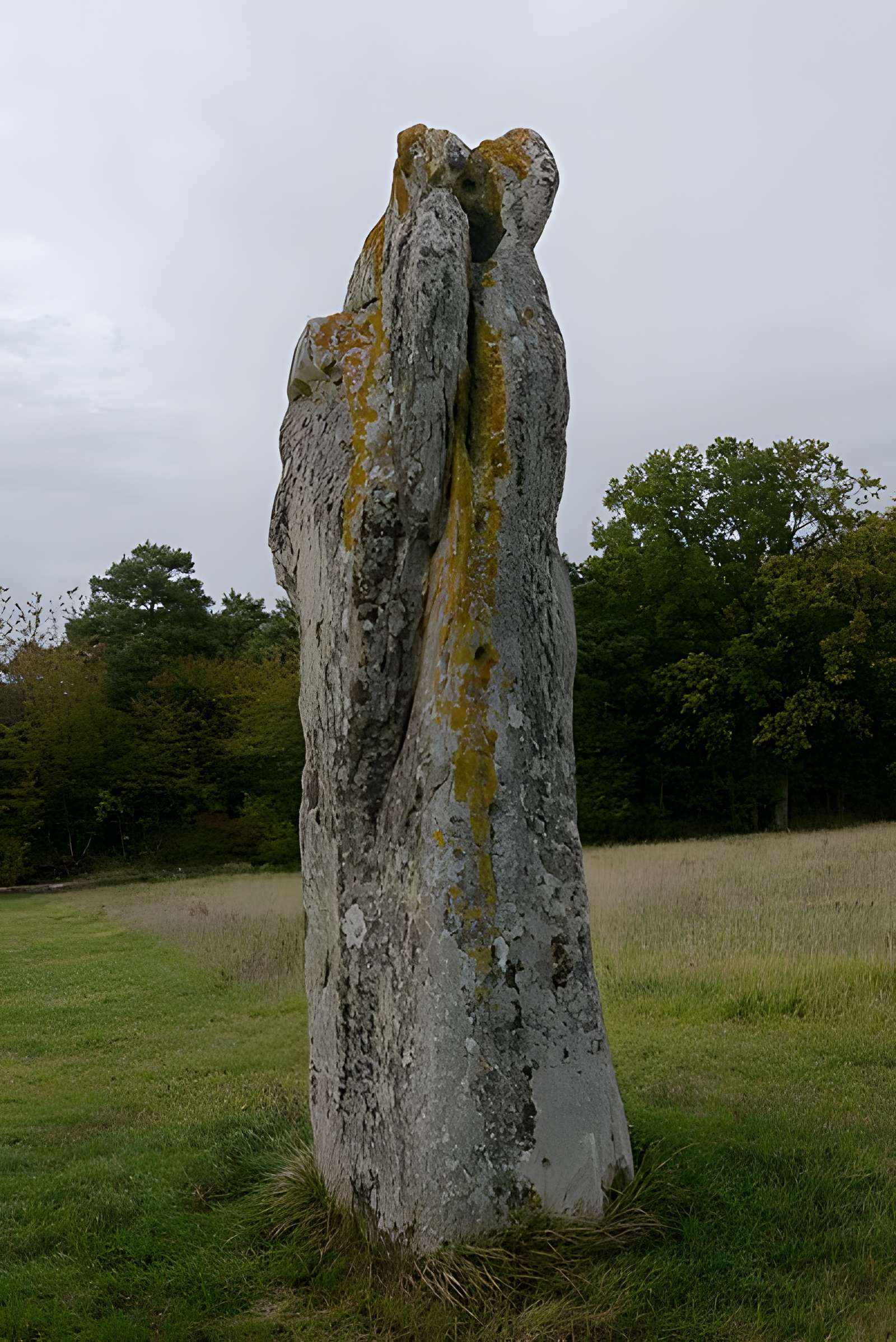 Menhir dit la Pierre-aux-Couteaux
